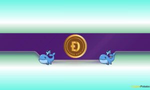Dogcoin (Dogor) Defaults Are Crazy: More Price Shipping Income?