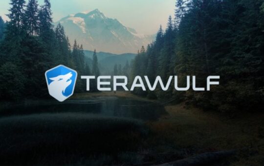 Google Pos Role In Bitcoin Manager Terraulf Up To 14%, Wolf 13%