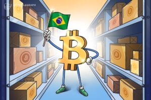 Hearing The National Bitco Collection Of Brazil Brazil