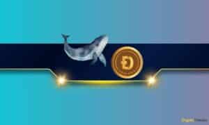 Hints On $ 1 In $ 1