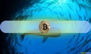 Historical Data Hints On Top Of The Price Completion