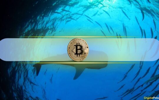 Historical Data Hints On Top Of The Price Completion