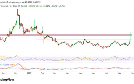 Ontology Price Chart