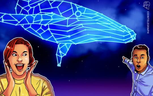 My Crypto Trader Offers $ 3 Million For A Year For A Year
