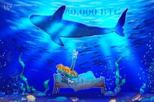 Quas'S Risk To Bitcoin? 80,000 Btiy Was Transferred After 14 Years