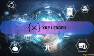 Record The Xrp Credit Holes When You Mixed Large Players With A Sidecodile
