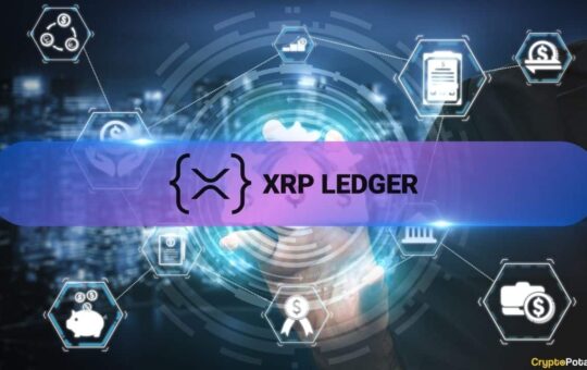 Record The Xrp Credit Holes When You Mixed Large Players With A Sidecodile