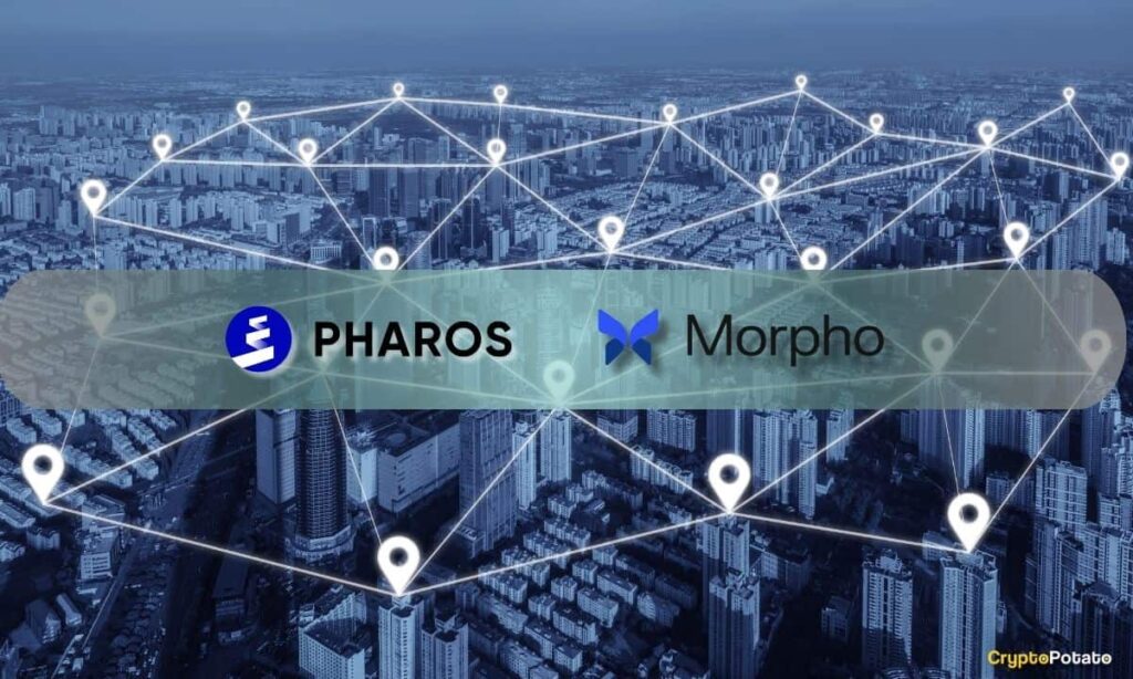 Rhaaros Network Groups Native Loader Borrowing Barrier