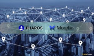 Rhaaros Network Groups Native Loader Borrowing Barrier