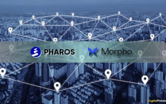 Rhaaros Network Groups Native Loader Borrowing Barrier