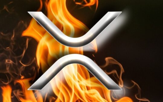 Ripree Coo &Quot;The Xrp Family '