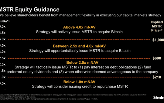 Strateggy Bitcoin Path Guide