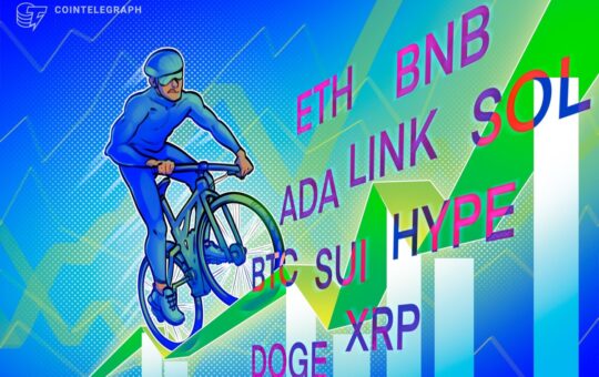 The Btc Continuing Stop Can Be $ 100 Kg: Illustrations Fall?
