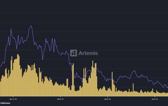 Active Addresses Every Day On The Thousand Network. Source: Armets