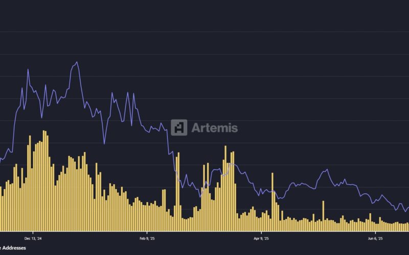 Active Addresses Every Day On The Thousand Network. Source: Armets