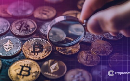 Wfe Tokenized Stocks