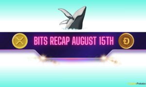 Xrp And Dogg Deslations Will Conduct Large Activities, Bnb Prepares A New Record - August 15, 15 Days