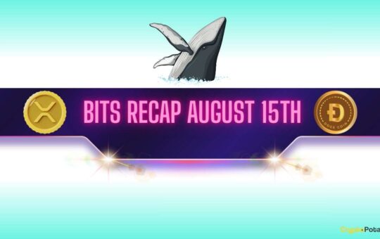 Xrp And Dogg Deslations Will Conduct Large Activities, Bnb Prepares A New Record - August 15, 15 Days