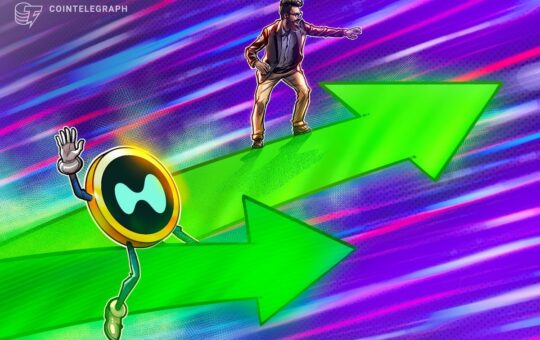 Lion'S Team Will Be Released From A New Time To New Time