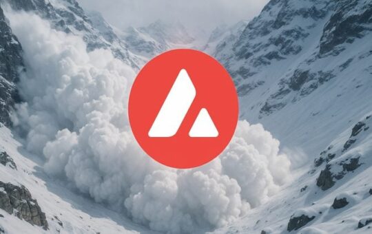 Avelooocen Cassing Service Office Usa Digital Property Charges For $ 1 To The Capital And Dronfly Cap