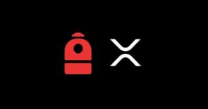 Backpack For Rippler Xrp Trading Trading