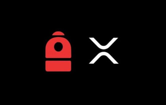 Backpack For Rippler Xrp Trading Trading