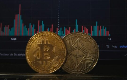 Bitcoin Etf $ 552.7M Assf And Enoms Enf $ 113..1 On September 11. It Looks At 1