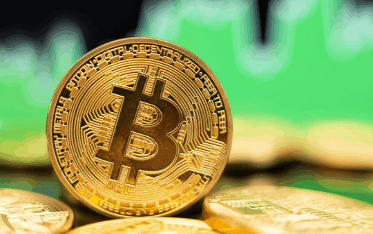 Bitcoin Price Discount: Btcy By $ 110.5 Kg
