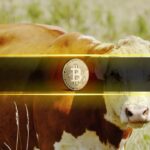 Global M2 Growth Indicators October Bill