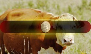 Bitcoin'S Bull Market Ends In 50 Days And Analysis Is Analyzing