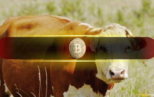 Bitcoin'S Bull Market Ends In 50 Days And Analysis Is Analyzing
