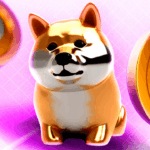 DOGCOIN Aremes as positiony interests of institutional needs