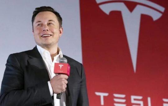 Elon Muscle Purchased More Than 2.5 Meters Of Masyla