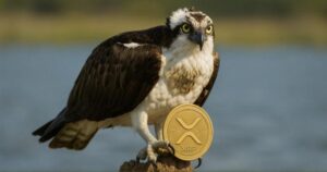 For The First Xrp Etf At The United States This Week
