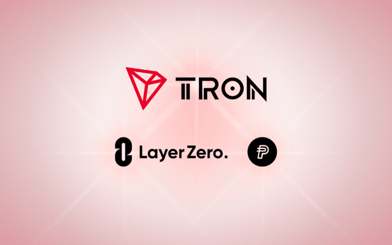 Paypal Usd Usd Usd Usd Work To Torrant On The Sineomozo