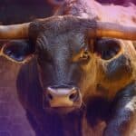 Thiel-Backed Bullish Exchange Posts $108M Q2 Profit, Reversing Last Year’s Loss