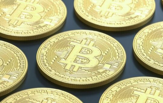 Walk With Smrcof With A Bitcoin Treasury