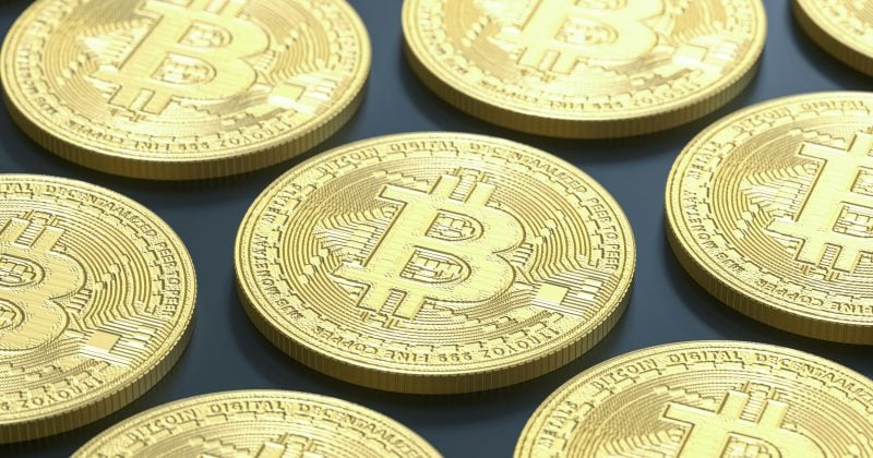 Walk With Smrcof With A Bitcoin Treasury