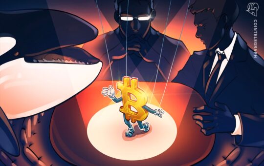 Who Is Exactly Controlled By The Bitcoin Price In 2025? Whales Or Kingdoms Are Explained