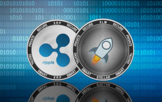 Xlm From The Eyes Of  0.40 In Front Of The Process