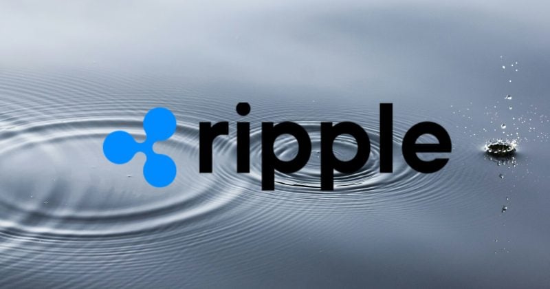 You Raised $ 25 M In The Xrp Laters Fund In Xrp Ledrs Fund