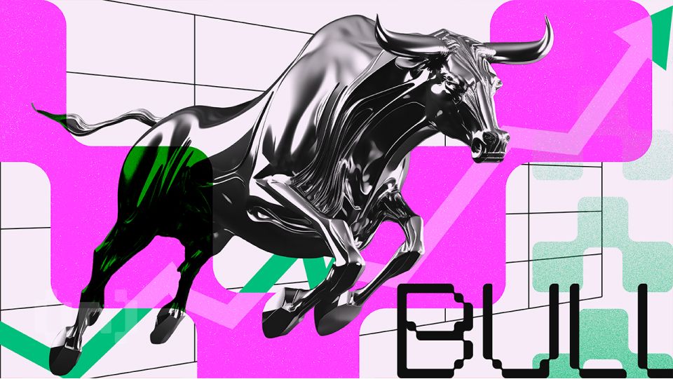 All Wealth, One Bet. The Bitcoin Obsession Of A 276 Iq Mind