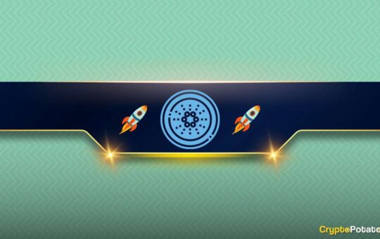 Addie And Digg Have To Defend This Critical Stage To Resume The Rally