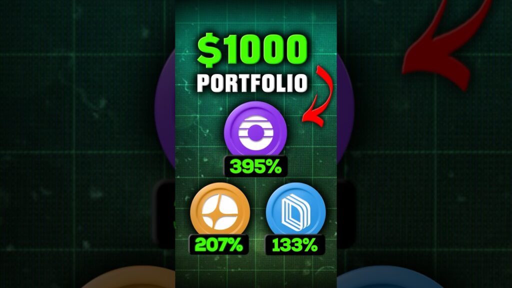 Best 1000 Perp Dex Portfolio