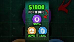 Best 1000 Perp Dex Portfolio