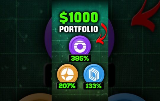 Best 1000 Perp Dex Portfolio