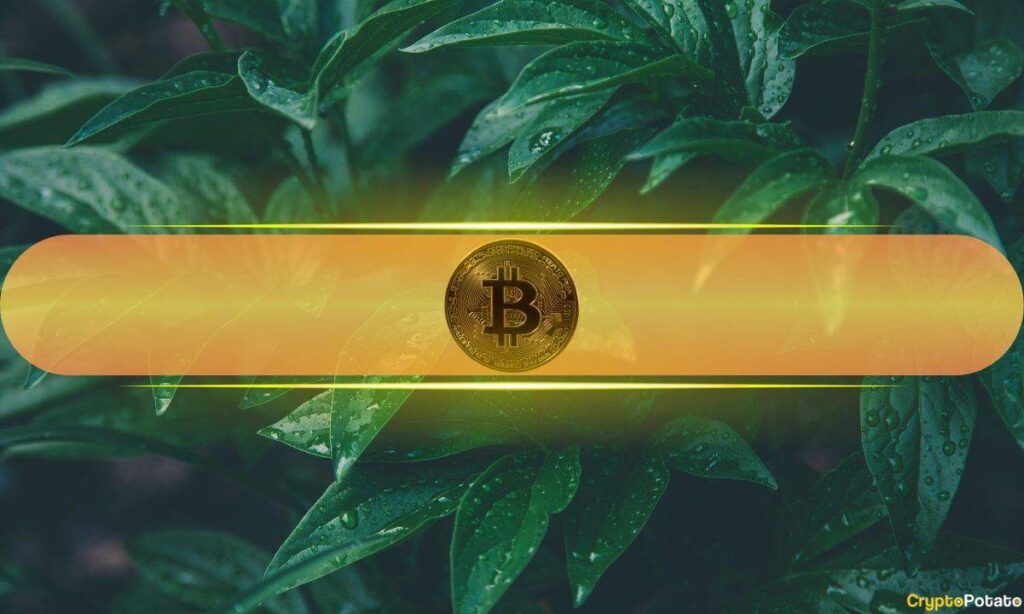 Bitcoin Healthy Susal Bind By Real $ 130 Km
