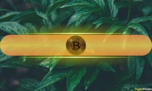 Bitcoin Healthy Susal Bind By Real $ 130 Km