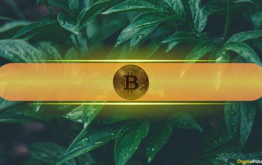 Bitcoin Healthy Susal Bind By Real $ 130 Km