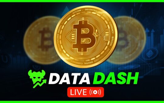 Bitcoin Short Squeeze Incoming Zec Explodes 700